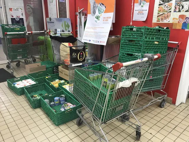 Paniers d'épicerie remplis de dons lors d'une collecte de banque alimentaire