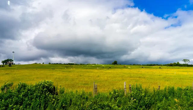 Ferme et champ au bord d'un rang de campagne au Québec