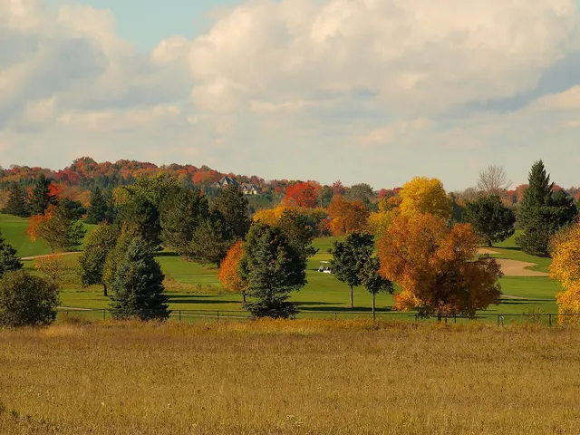Terrain de golf bordé d'arbres aux couleurs d'automne