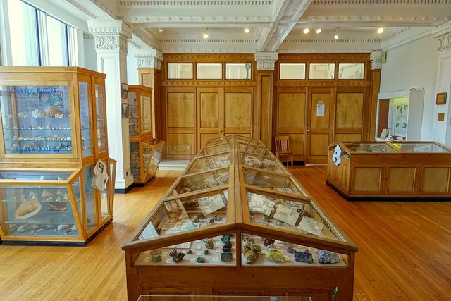 Vitrines d'exposition en bois dans une salle de musée