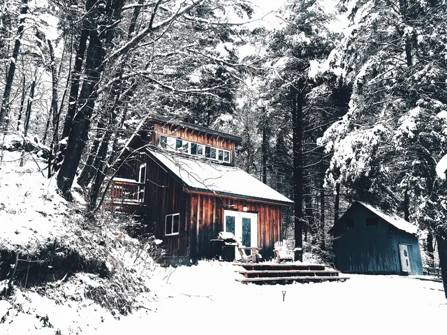 Petit chalet en bois sous la neige dans une forêt de conifères