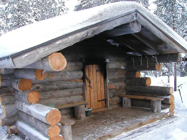 Sauna traditionnel en bois rond sous la neige
