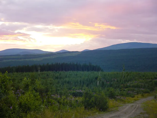 Collines couvertes de forêt dans la réserve faunique de Matane