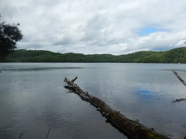 Tronc d'arbre couché dans le lac de la Ferme sous un ciel nuageux, à Duhamel