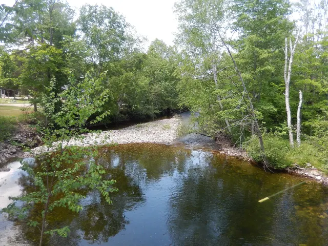 La rivière Preston vue du pont de la route 321, entre bouleaux et feuillus