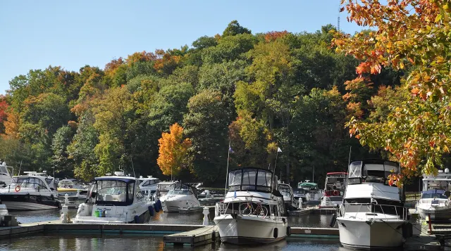 Bateaux de plaisance à la marina de Montebello devant des arbres aux couleurs d'automne