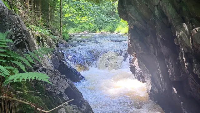 Rapides de la chute Minée qui coulent entre des parois rocheuses et des fougères
