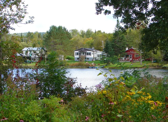 Maisons au bord du lac Roquet vues à travers les fleurs sauvages