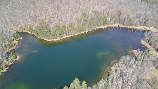 Vue aérienne du lac Chartrand au printemps, forêt encore sans feuilles