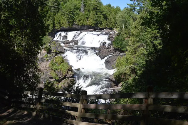 Les chutes de Plaisance vues d'un belvédère clôturé, entre les conifères