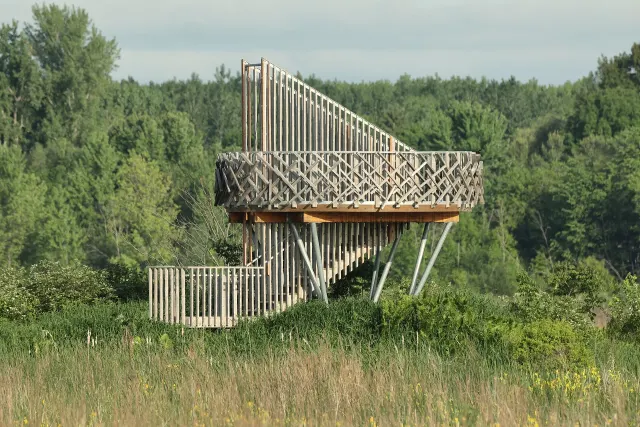 Tour d'observation en bois au marais Perra, parc national de Plaisance