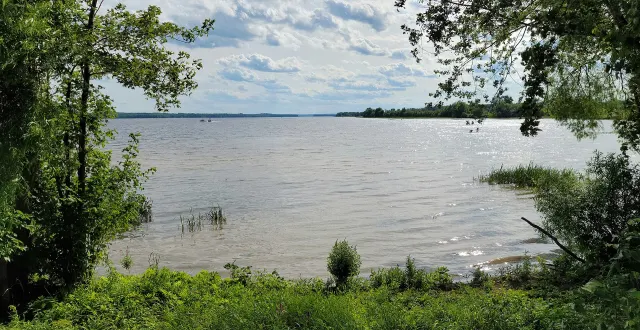 La rivière des Outaouais vue de la berge près du village de Thurso