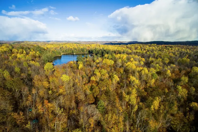 Vue aérienne de la forêt d'automne jaune et orangée autour du lac du Chevreuil